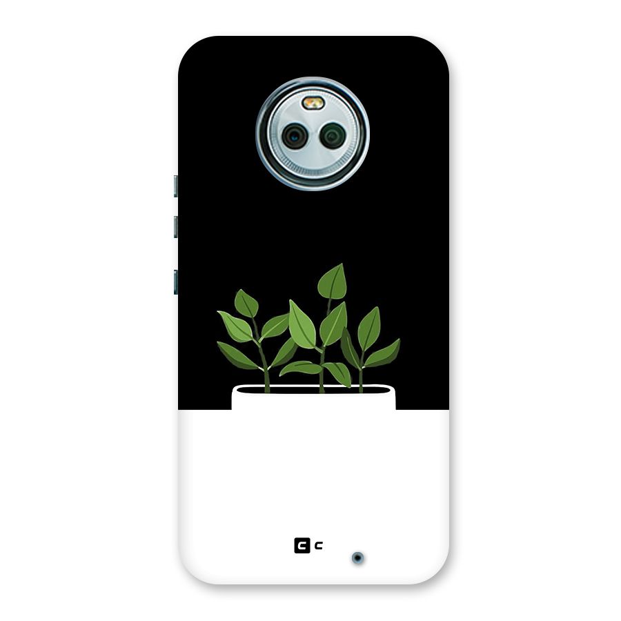 Beautiful Plant Pot Minimalistic Back Case for Moto X4
