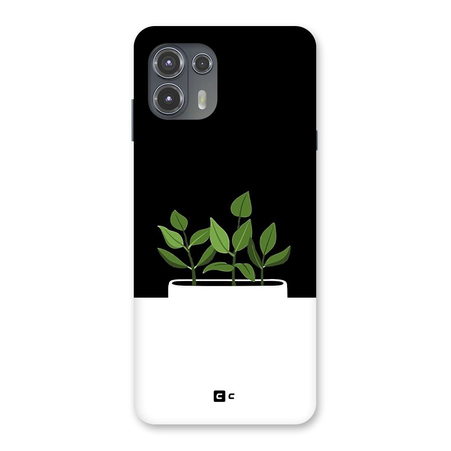Beautiful Plant Pot Minimalistic Back Case for Motorola Edge 20 Fusion
