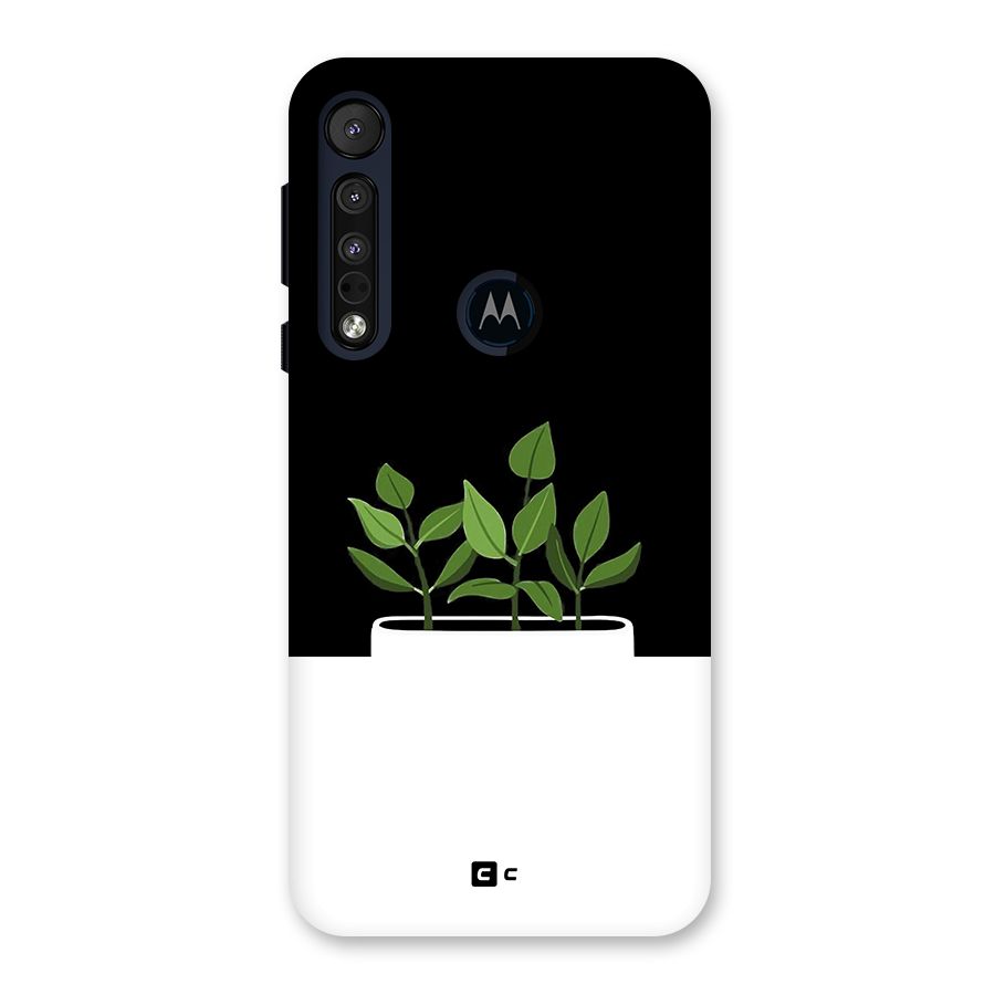Beautiful Plant Pot Minimalistic Back Case for Motorola One Macro