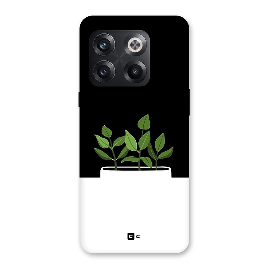 Beautiful Plant Pot Minimalistic Back Case for OnePlus 10T