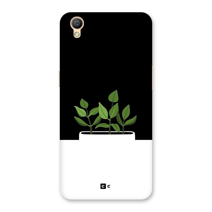 Beautiful Plant Pot Minimalistic Back Case for Oppo A37