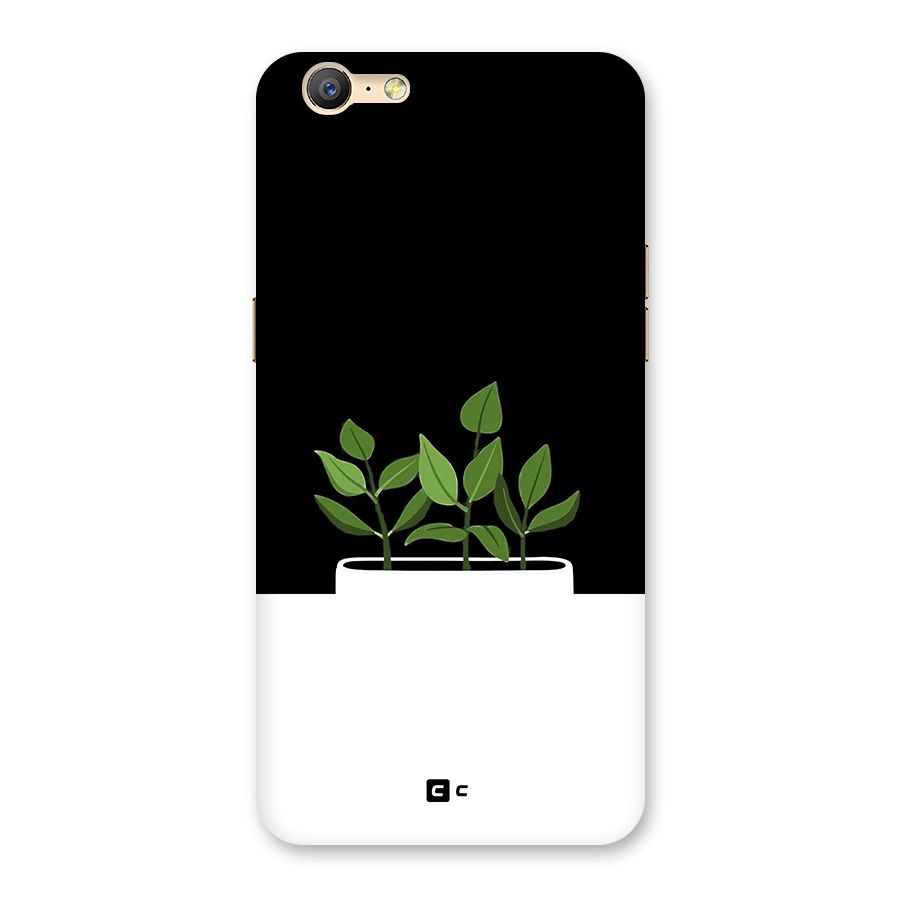 Beautiful Plant Pot Minimalistic Back Case for Oppo A39