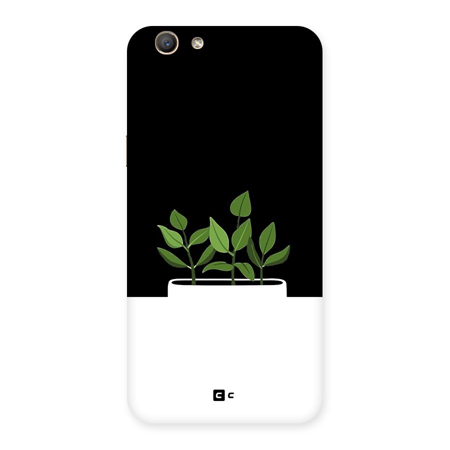 Beautiful Plant Pot Minimalistic Back Case for Oppo F1s
