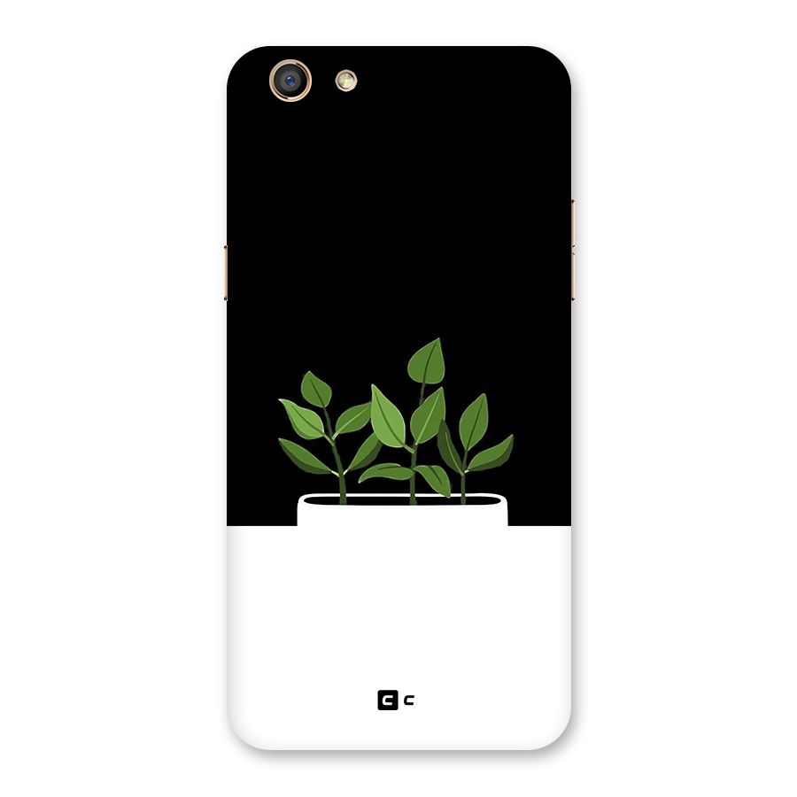 Beautiful Plant Pot Minimalistic Back Case for Oppo F3