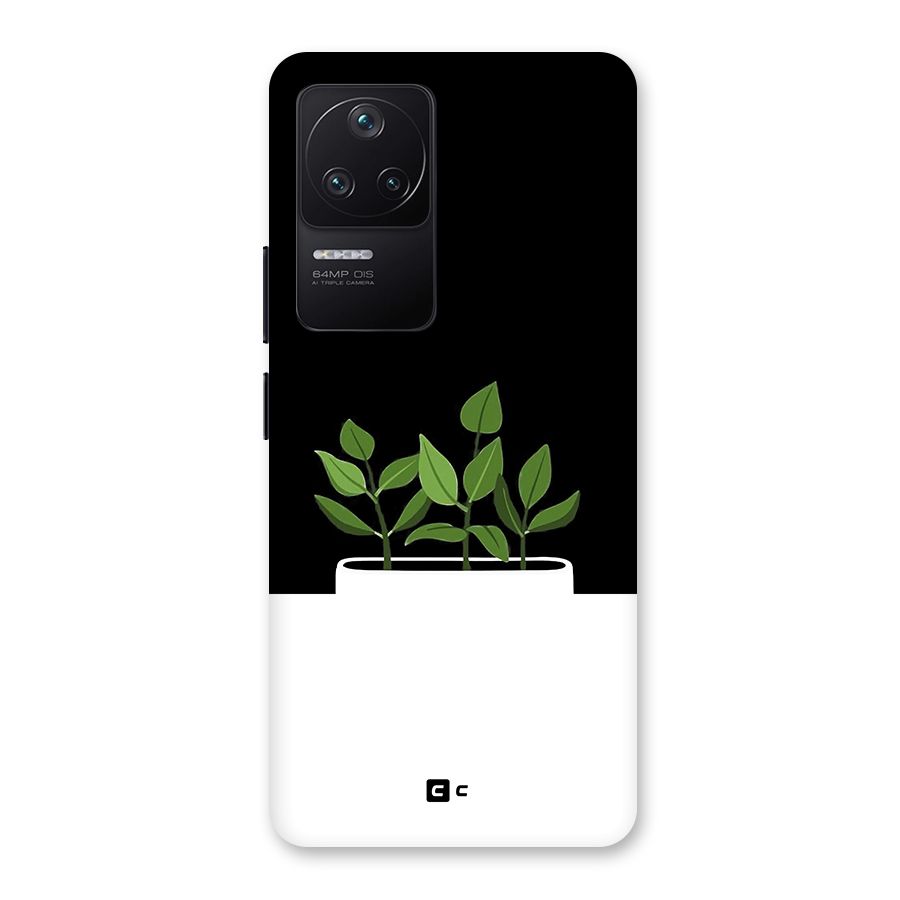 Beautiful Plant Pot Minimalistic Back Case for Poco F4 5G