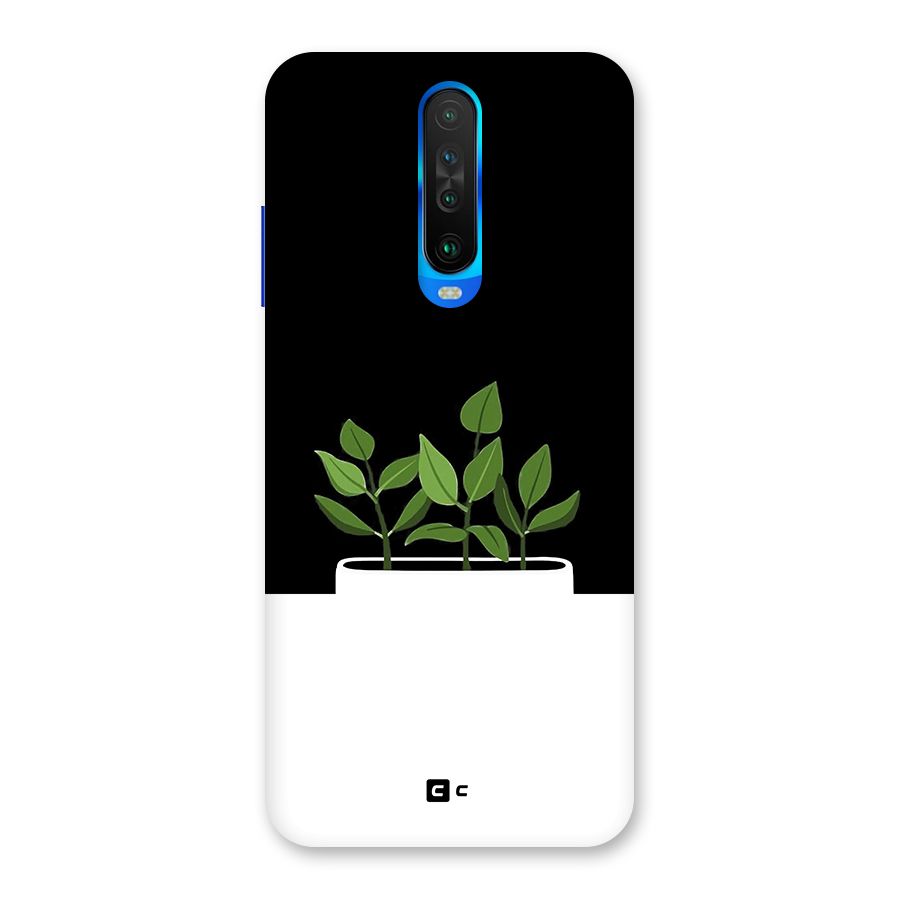 Beautiful Plant Pot Minimalistic Back Case for Poco X2