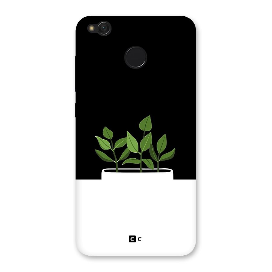 Beautiful Plant Pot Minimalistic Back Case for Redmi 4