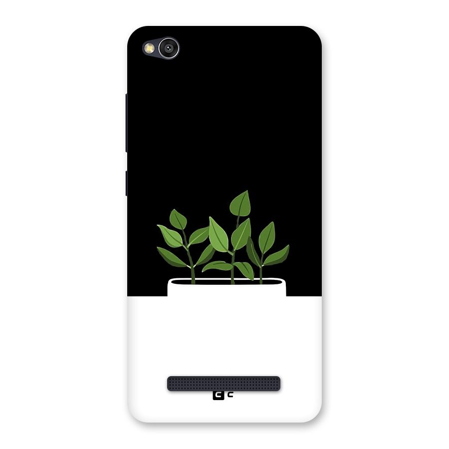Beautiful Plant Pot Minimalistic Back Case for Redmi 4A