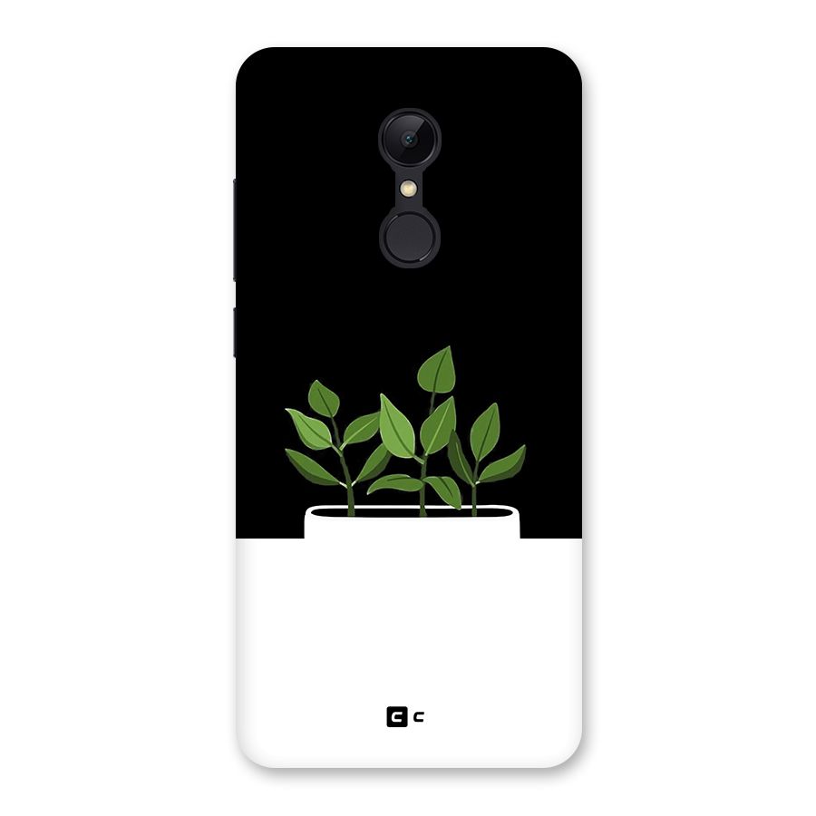 Beautiful Plant Pot Minimalistic Back Case for Redmi 5