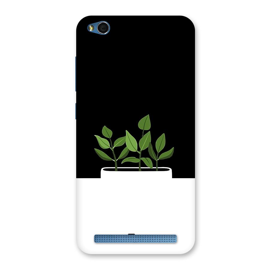 Beautiful Plant Pot Minimalistic Back Case for Redmi 5A