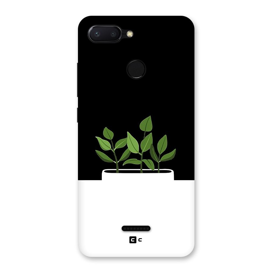 Beautiful Plant Pot Minimalistic Back Case for Redmi 6