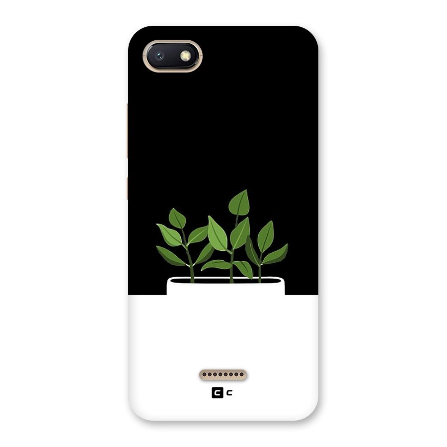 Beautiful Plant Pot Minimalistic Back Case for Redmi 6A