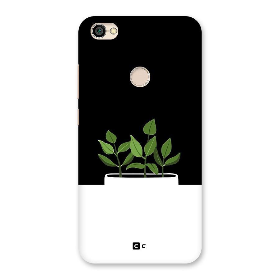 Beautiful Plant Pot Minimalistic Back Case for Redmi Y1 2017