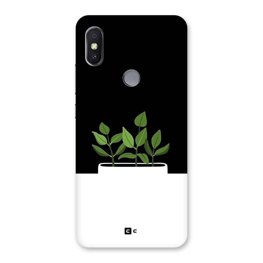 Beautiful Plant Pot Minimalistic Back Case for Redmi Y2