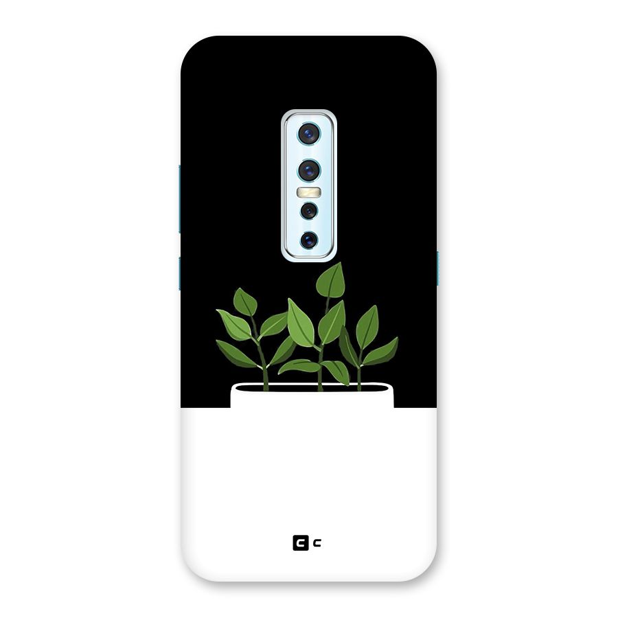 Beautiful Plant Pot Minimalistic Back Case for Vivo V17 Pro