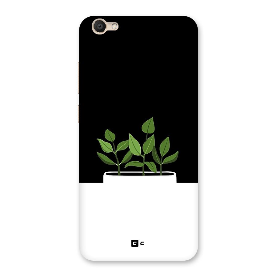 Beautiful Plant Pot Minimalistic Back Case for Vivo V5