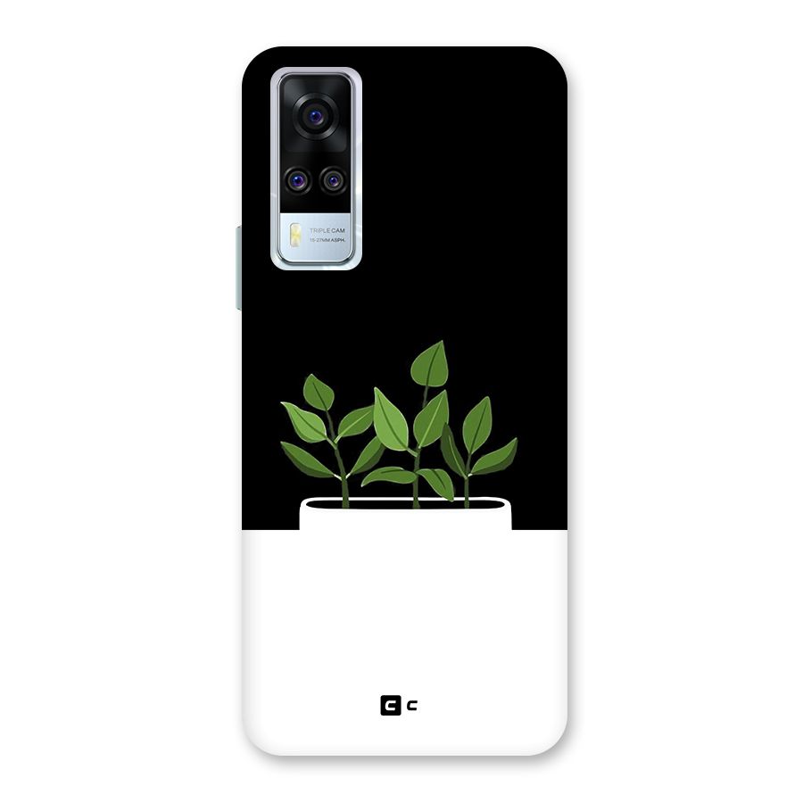 Beautiful Plant Pot Minimalistic Back Case for Vivo Y31