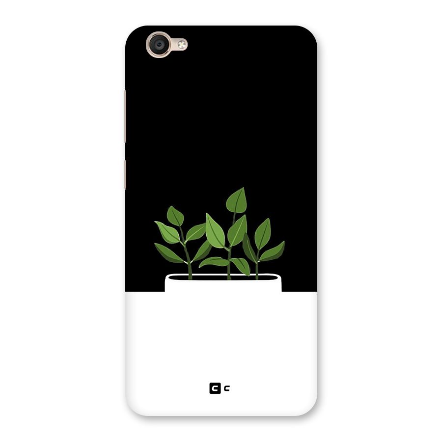 Beautiful Plant Pot Minimalistic Back Case for Vivo Y55s