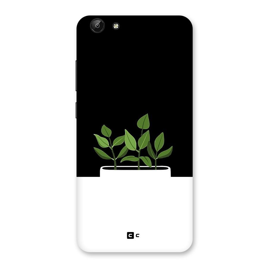 Beautiful Plant Pot Minimalistic Back Case for Vivo Y69