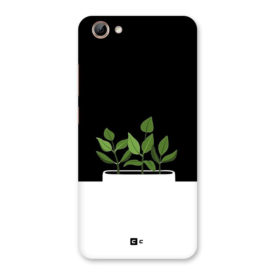 Beautiful Plant Pot Minimalistic Back Case for Vivo Y71i