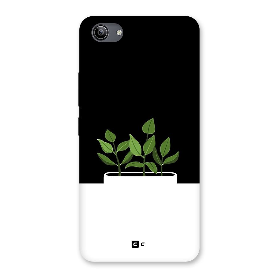 Beautiful Plant Pot Minimalistic Back Case for Vivo Y81i