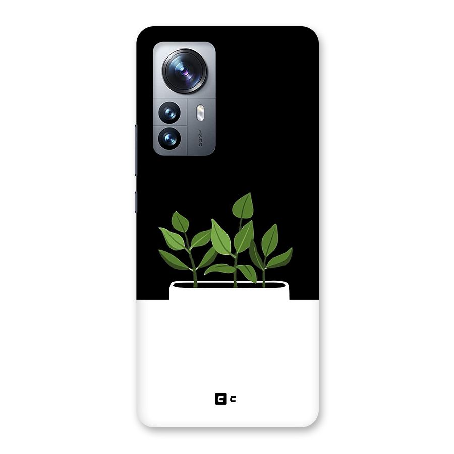 Beautiful Plant Pot Minimalistic Back Case for Xiaomi 12 Pro