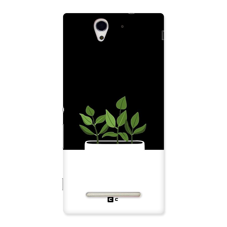 Beautiful Plant Pot Minimalistic Back Case for Xperia C3
