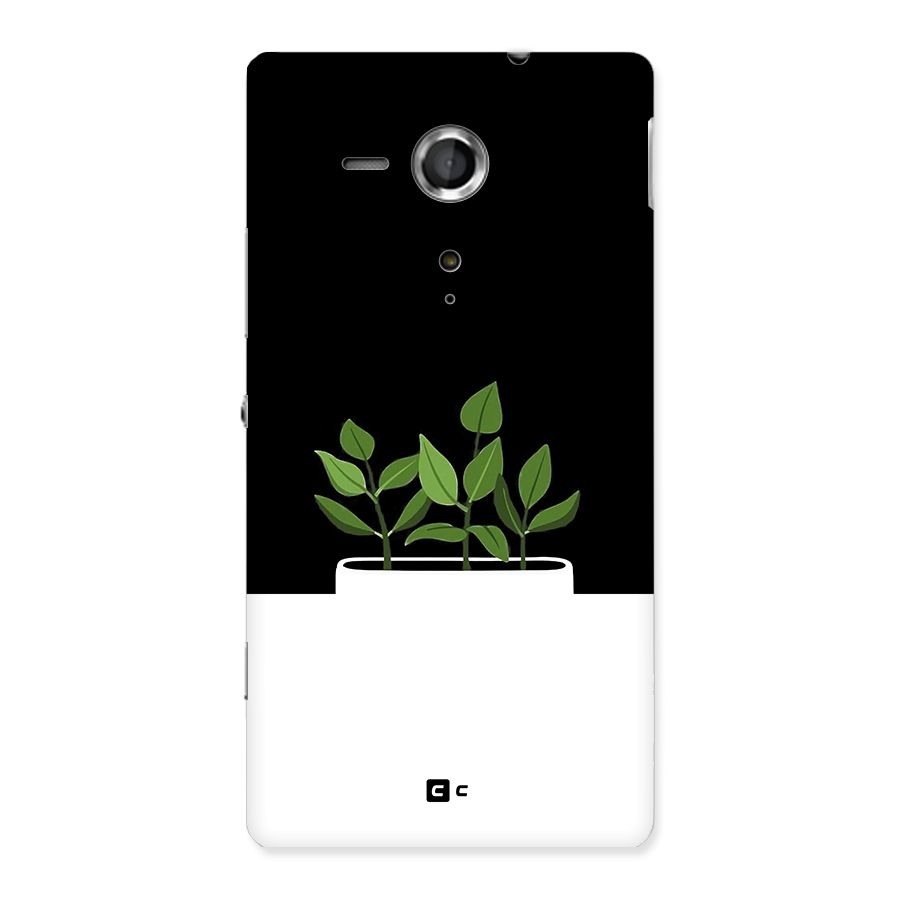 Beautiful Plant Pot Minimalistic Back Case for Xperia Sp