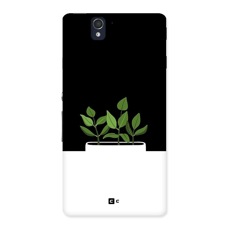 Beautiful Plant Pot Minimalistic Back Case for Xperia Z