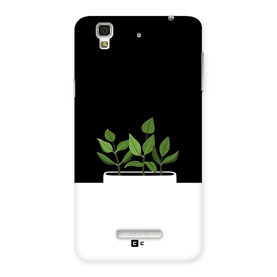 Beautiful Plant Pot Minimalistic Back Case for Yureka