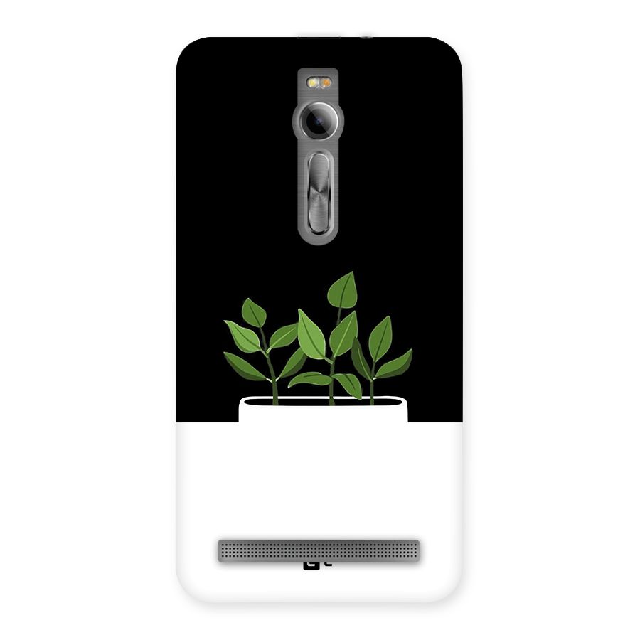 Beautiful Plant Pot Minimalistic Back Case for Zenfone 2