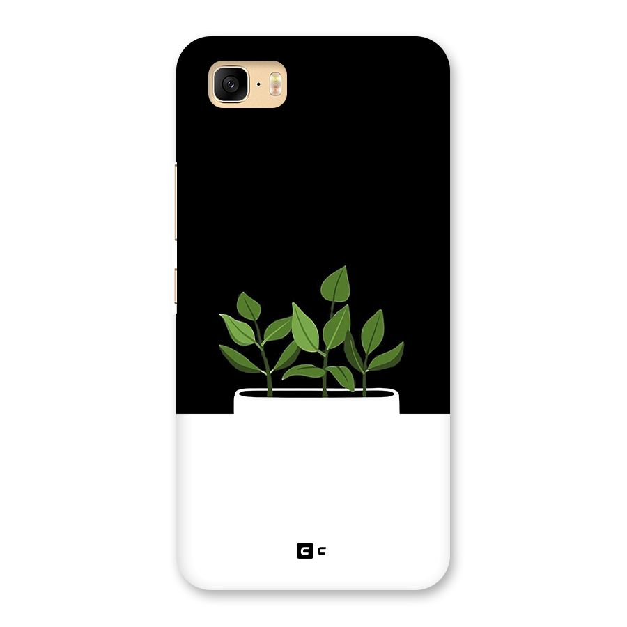 Beautiful Plant Pot Minimalistic Back Case for Zenfone 3s Max