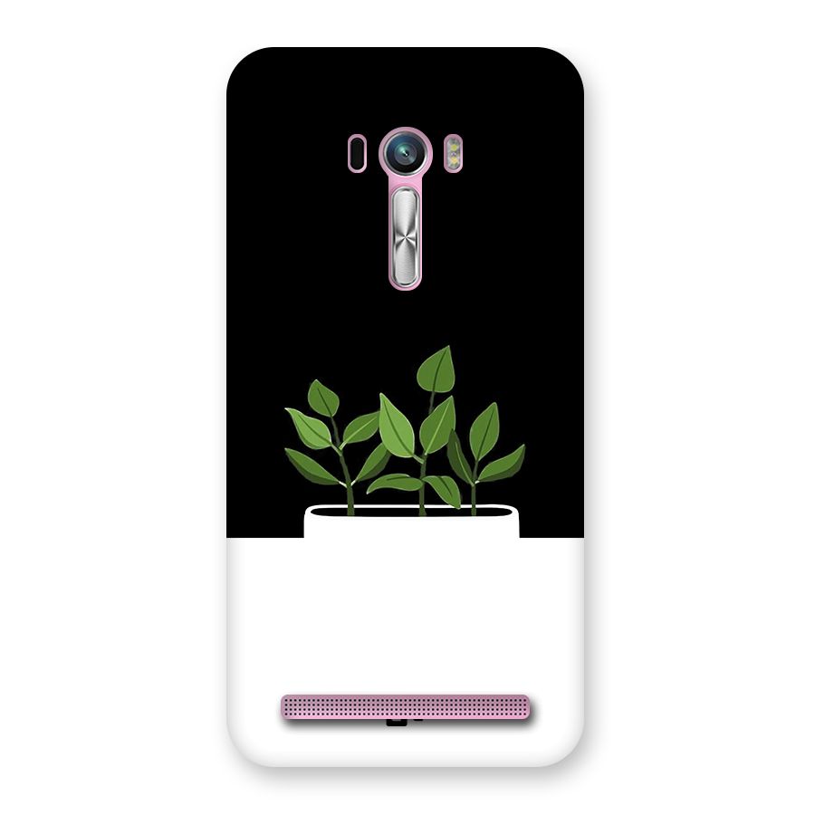 Beautiful Plant Pot Minimalistic Back Case for Zenfone Selfie