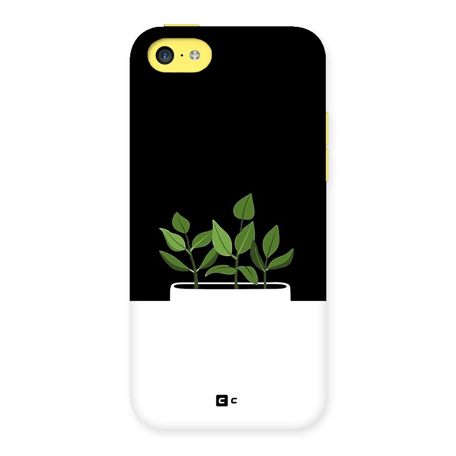 Beautiful Plant Pot Minimalistic Back Case for iPhone 5C