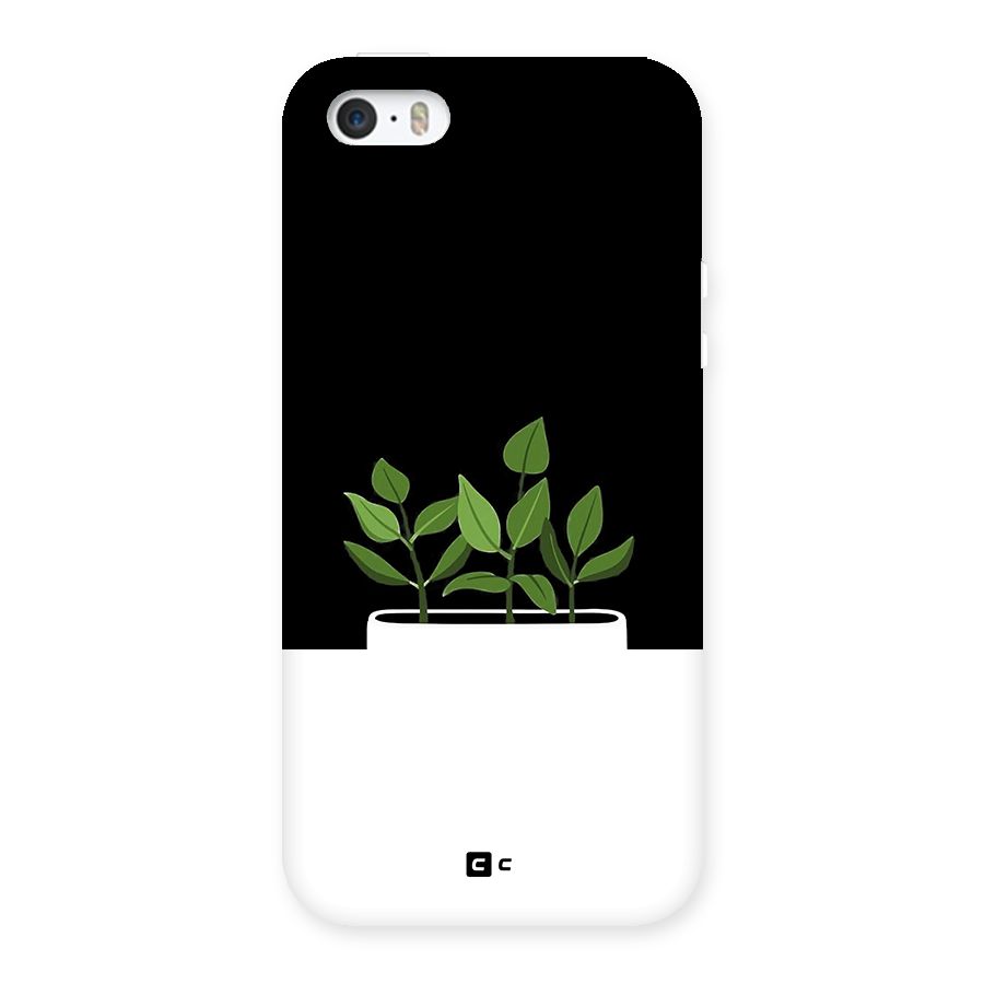 Beautiful Plant Pot Minimalistic Back Case for iPhone SE 2016