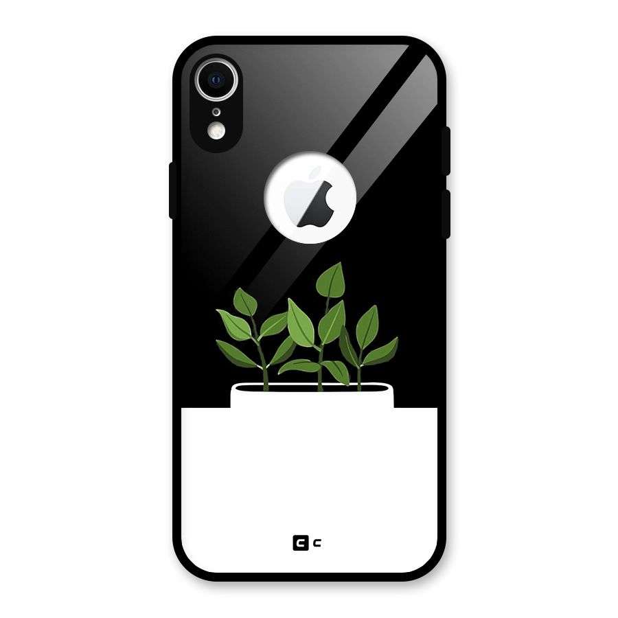 Beautiful Plant Pot Minimalistic Glass Back Case for iPhone XR Logo Cut