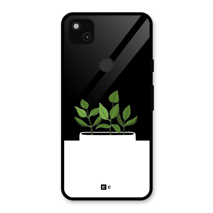 Beautiful Plant Pot Minimalistic Glass Back Case for Google Pixel 4a