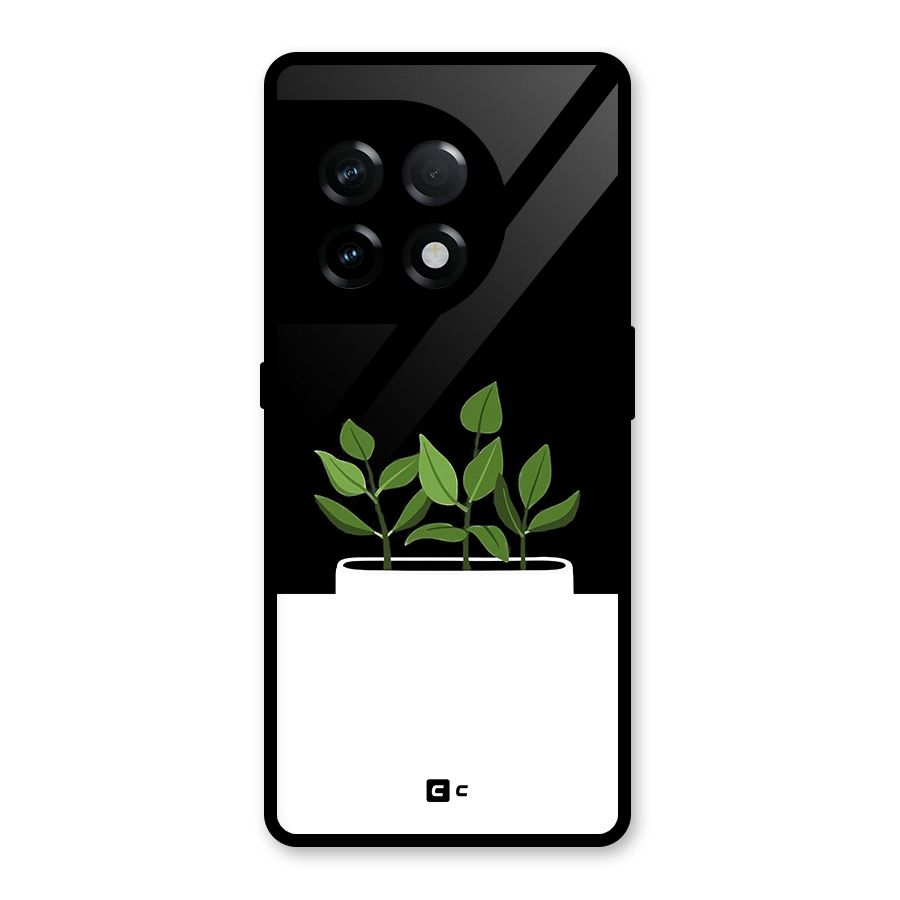 Beautiful Plant Pot Minimalistic Glass Back Case for OnePlus 11R