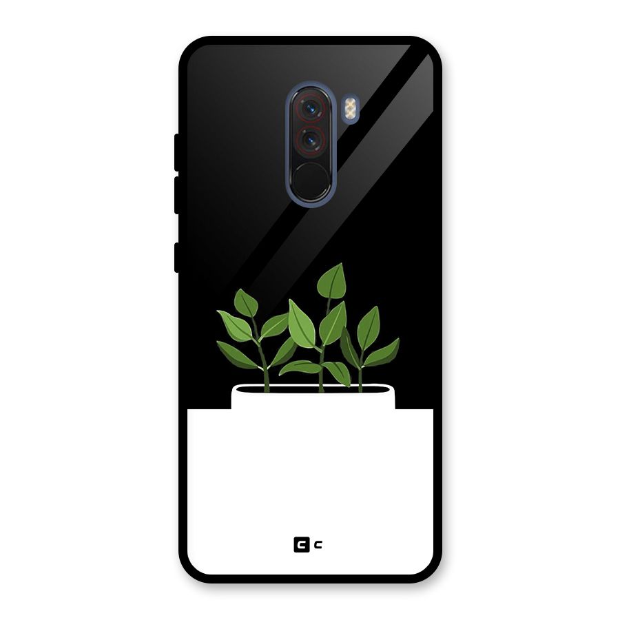 Beautiful Plant Pot Minimalistic Glass Back Case for Poco F1