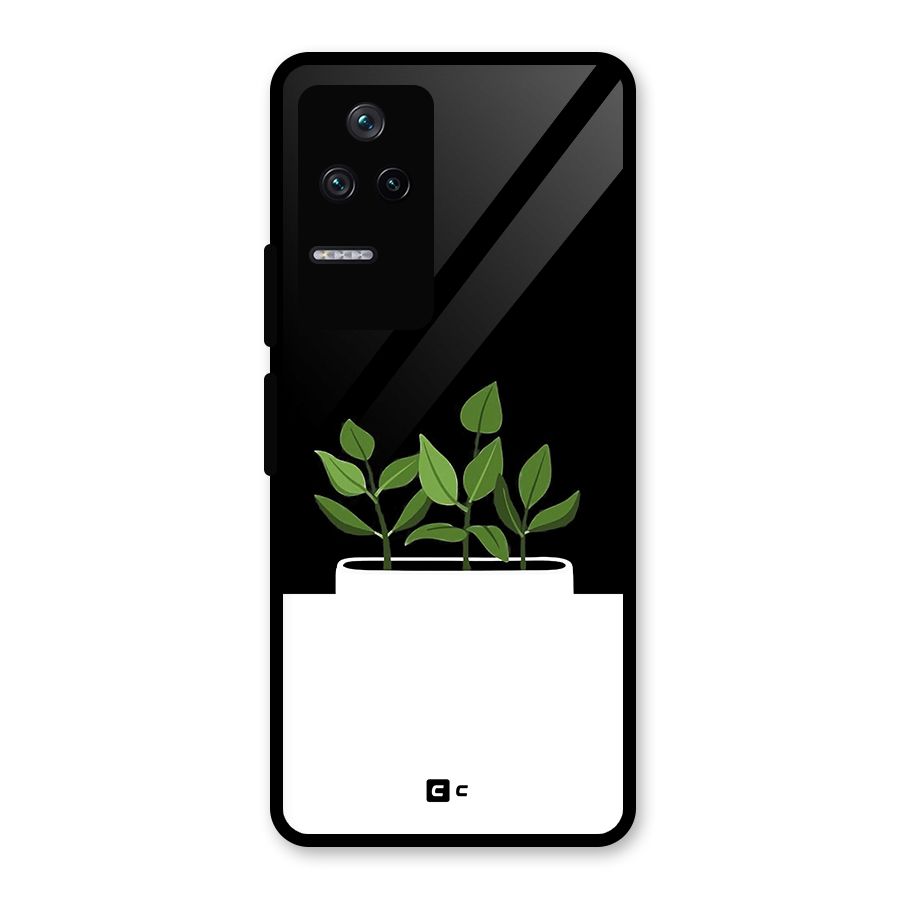 Beautiful Plant Pot Minimalistic Glass Back Case for Poco F4 5G