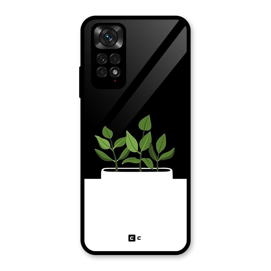 Beautiful Plant Pot Minimalistic Glass Back Case for Redmi Note 11S