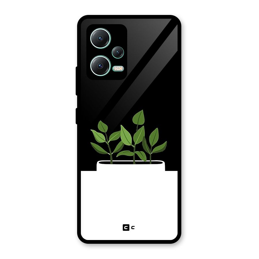 Beautiful Plant Pot Minimalistic Glass Back Case for Redmi Note 12 5G