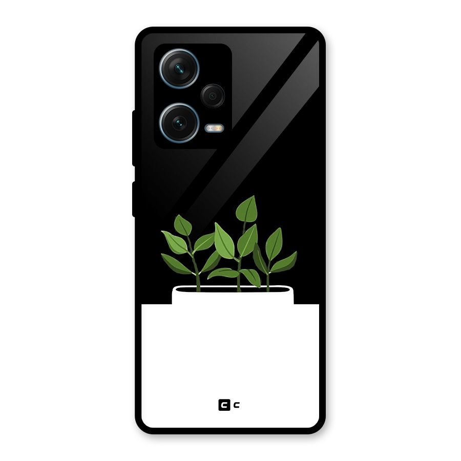 Beautiful Plant Pot Minimalistic Glass Back Case for Redmi Note 12 Pro Plus 5G