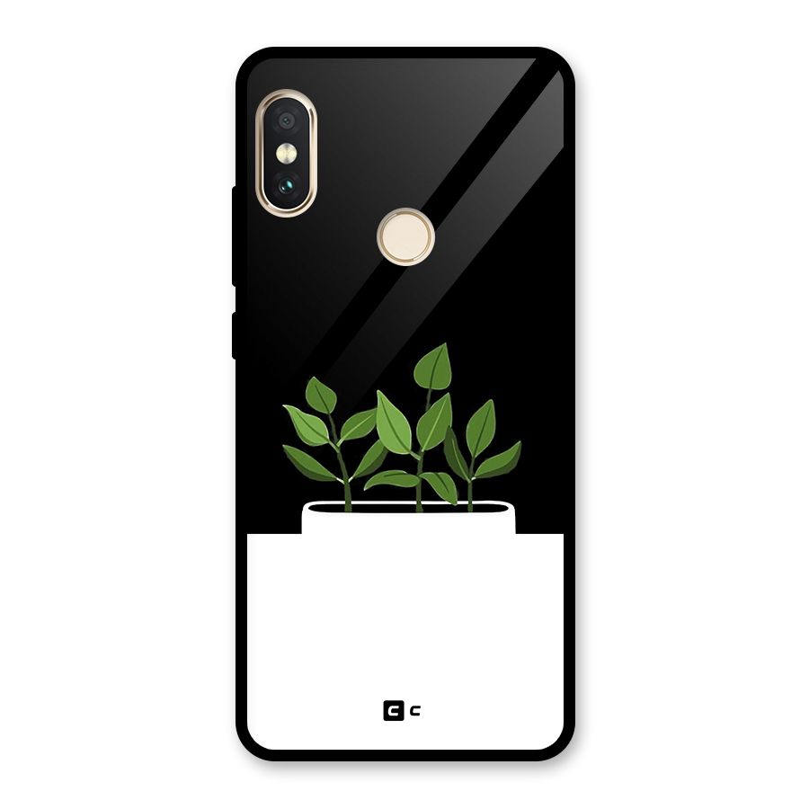 Beautiful Plant Pot Minimalistic Glass Back Case for Redmi Note 5 Pro