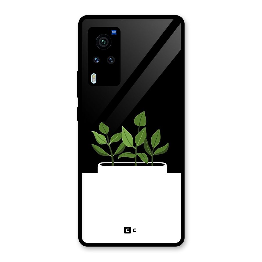 Beautiful Plant Pot Minimalistic Glass Back Case for Vivo X60 Pro