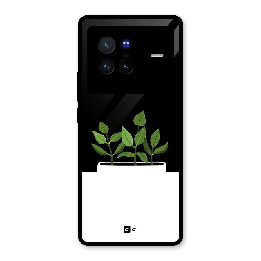Beautiful Plant Pot Minimalistic Glass Back Case for Vivo X80