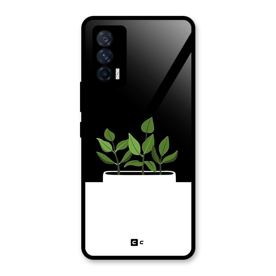 Beautiful Plant Pot Minimalistic Glass Back Case for Vivo iQOO 7 5G
