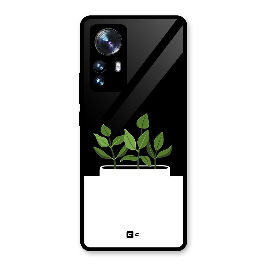 Beautiful Plant Pot Minimalistic Glass Back Case for Xiaomi 12 Pro