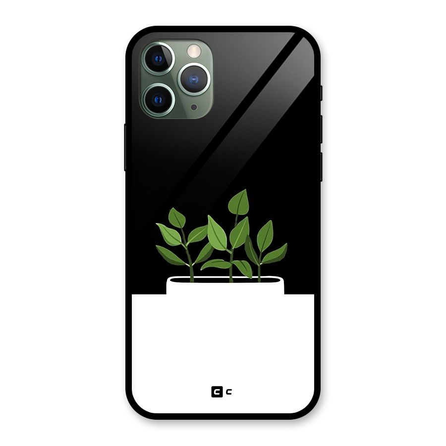 Beautiful Plant Pot Minimalistic Glass Back Case for iPhone 11 Pro