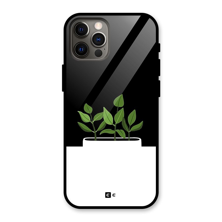 Beautiful Plant Pot Minimalistic Glass Back Case for iPhone 12 Pro